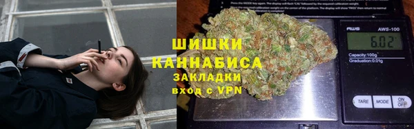 PSILOCYBIN Ладушкин