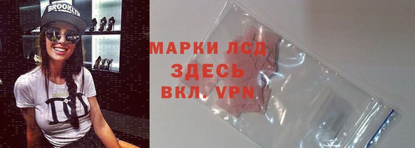 PSILOCYBIN Ладушкин