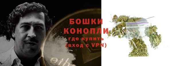 PSILOCYBIN Ладушкин