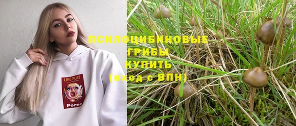 винт Лабытнанги