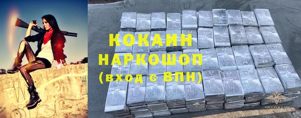 PSILOCYBIN Ладушкин