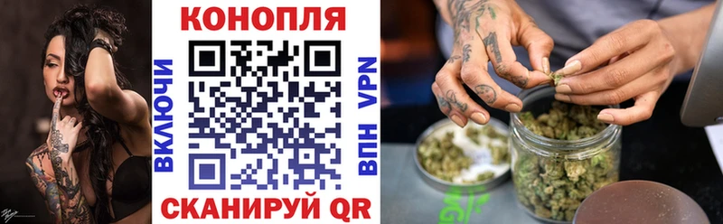 Купить где  Мензелинск  Конопля OG Kush 